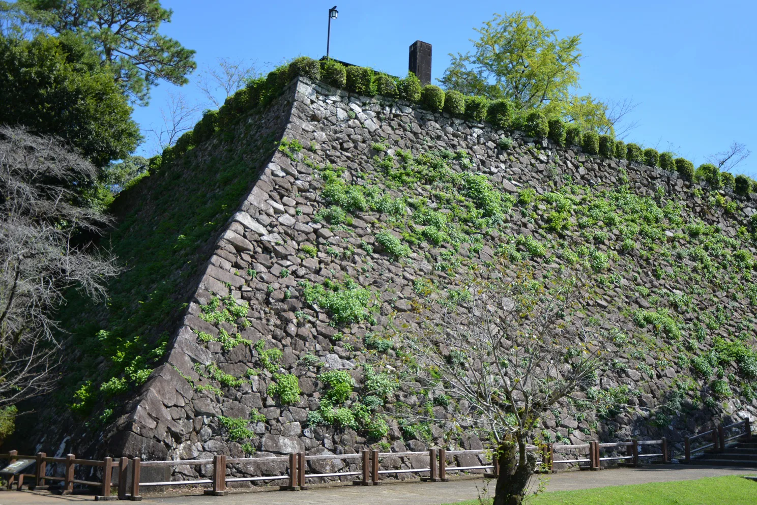 延岡・城山の石垣